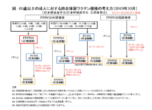 65歳以上の成人に対する肺炎球菌ワクチン接種の考え方2019.10